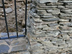 Kamień nieregularny (dzikówka) KWARCYT POLSKI 11 – Hurtownia Kamienia El-Pol