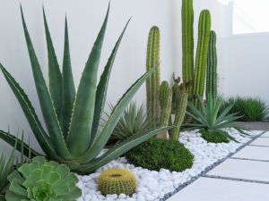 Kamien dekoracyjny THASSOS PERŁOWY 25 – Hurtownia Kamienia El-Pol