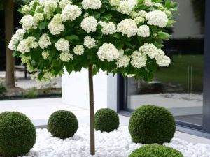 Kamien dekoracyjny THASSOS PERŁOWY 11 – Hurtownia Kamienia El-Pol