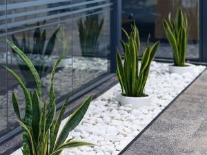 Kamien dekoracyjny THASSOS PERŁOWY 1 – Hurtownia Kamienia El-Pol